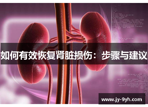 如何有效恢复肾脏损伤:步骤与建议 如何有效恢复肾脏损伤:步骤与建议