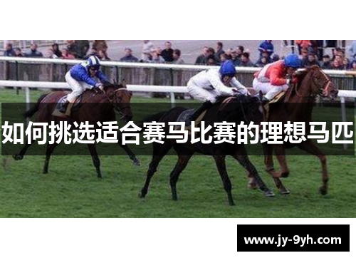 如何挑选适合赛马比赛的理想马匹